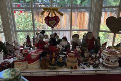 IMG_20260812_101059-9-scaled